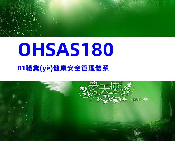 OHSAS18001職業(yè)健康安全管理體系