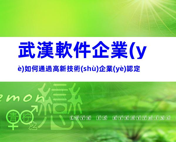 武漢軟件企業(yè)如何通過高新技術(shù)企業(yè)認定