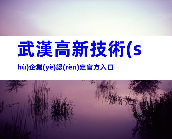 武漢高新技術(shù)企業(yè)認(rèn)定官方入口