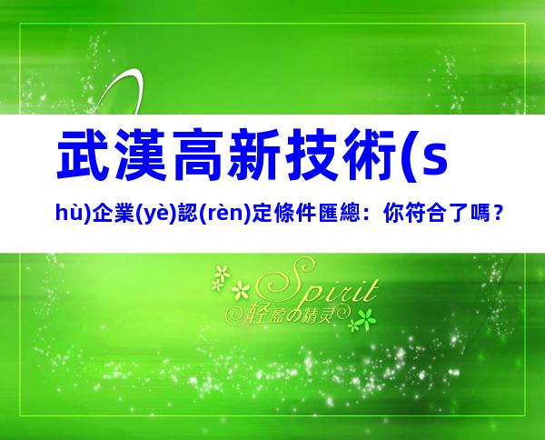 武漢高新技術(shù)企業(yè)認(rèn)定條件匯總：你符合了嗎？