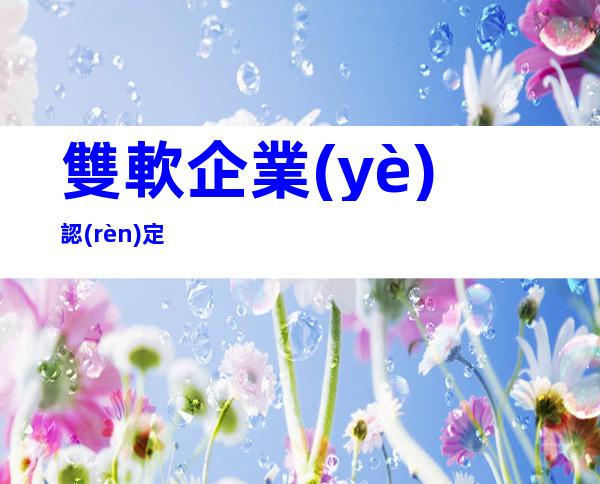 雙軟企業(yè)認(rèn)定
