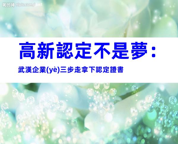 高新認定不是夢：武漢企業(yè)三步走拿下認定證書